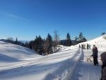 SchlittelnFeb2019_1.jpg