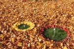 LandART2019_1.jpg