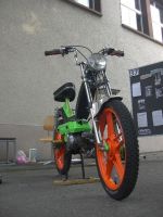 BegA2013_42.jpg