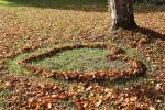 LandART2019_6.jpg